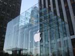 The Apple Store