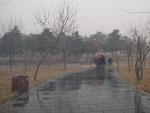 Early in the morning walking towards the Terracotta Warriors museum