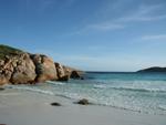 Thistle Cove