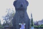 Sonya and the Giant Koala