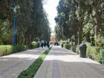 Delgosha Garden trees leading to a mosque