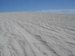 Lancelin sand dunes