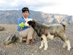 Sonya feed a goat some lettuce