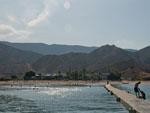 View of the Oman Dive Center private beach from the jetty