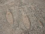 Al-Jassasiyah Petroglyphs