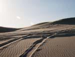 Sand dunes with many tyre tracks
